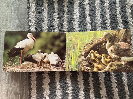 Pri vodičke, na vode /leporelo-prvé vyd.1989, 