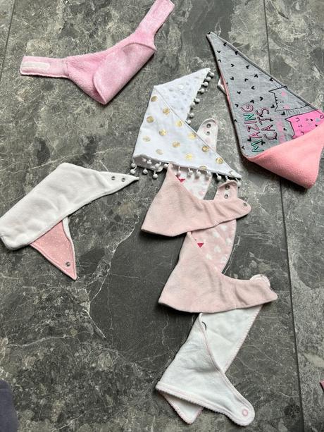 Slintáčiky nakrčníky, 86