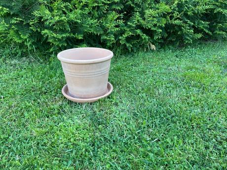 Terakotový kvetináč,