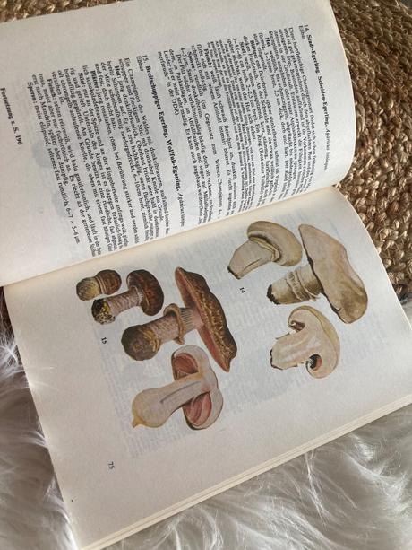 Taschenbuch für pilzfreunde (1987),