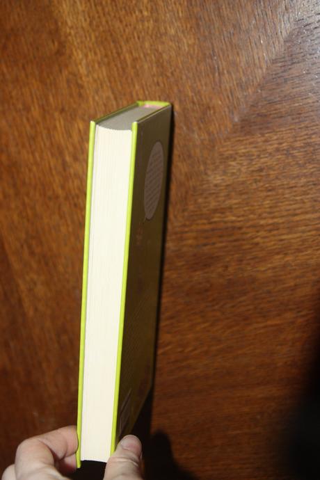 Frauke scheunemann -winston - kocur detektivom,