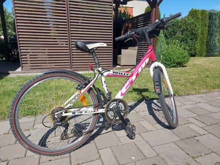 Bicykel willy 1.0 ctm, ctm,24