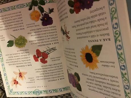 Znamenia lásky - rak, 