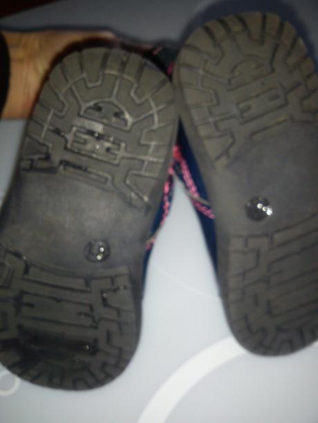 Leskle prechodne cizmicky, 22