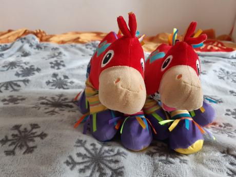 Konik ferdo lamazze dvojicky,