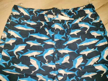 Kratasy, palomino,128