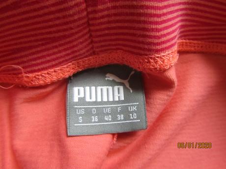 Leginy, puma,170