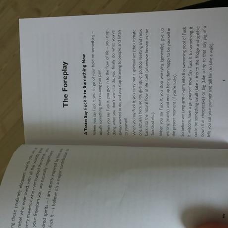 Kniha "fuck it" v anglictine, 