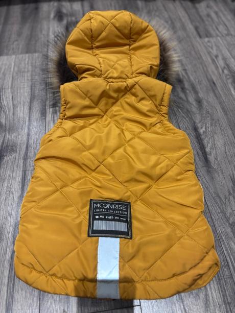 Moonrise vesta 98, 98