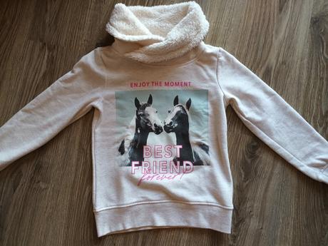 Koníkova mikinka, dopodopo,134