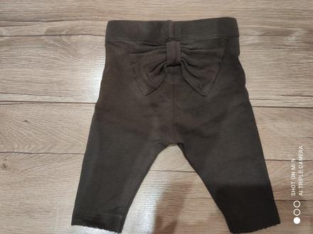 Legíny newbie, newbie,56