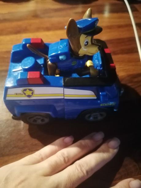 Auto lapkova patrola,