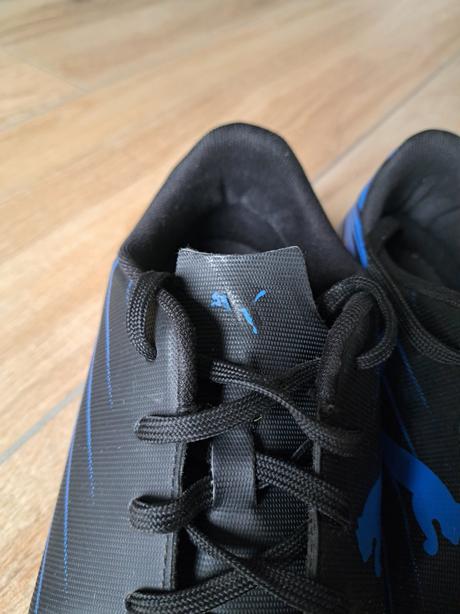 Halovky, puma,41