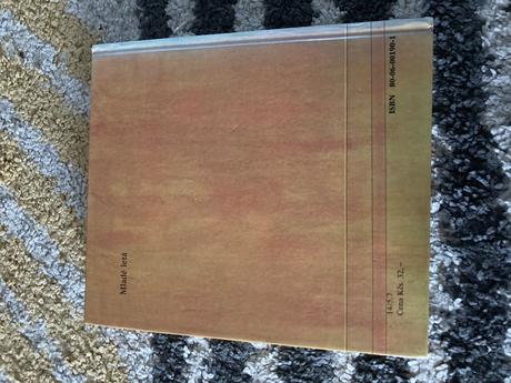 Neobyčajné príhody bebešku a melónika-1. vyd.1990, 