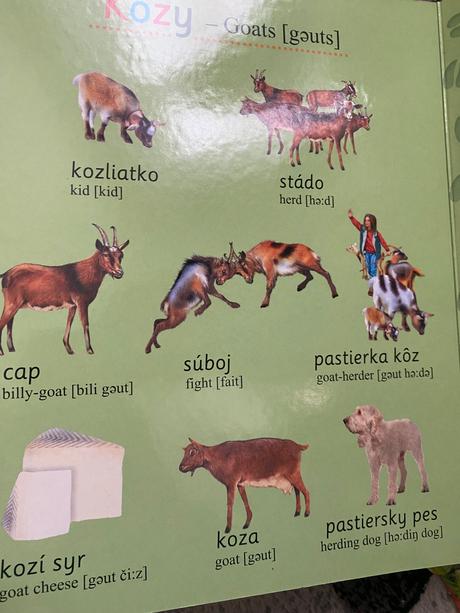 Kniha s puzzle a anglickými slovíčkami, 