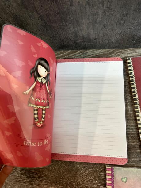 Santoro dievcenske zapisniky,zosity, 