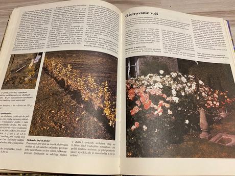 Krásna stará retro kniha jeseň v záhrade 1982, 