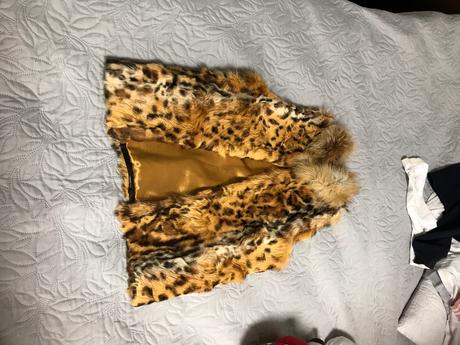 Vesta práva kozusima 134-140, 134