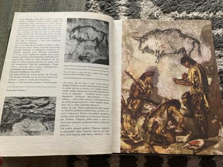 Cesta za adamom (1983), 