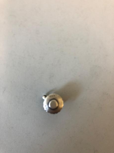 Pandora goralka, pandora