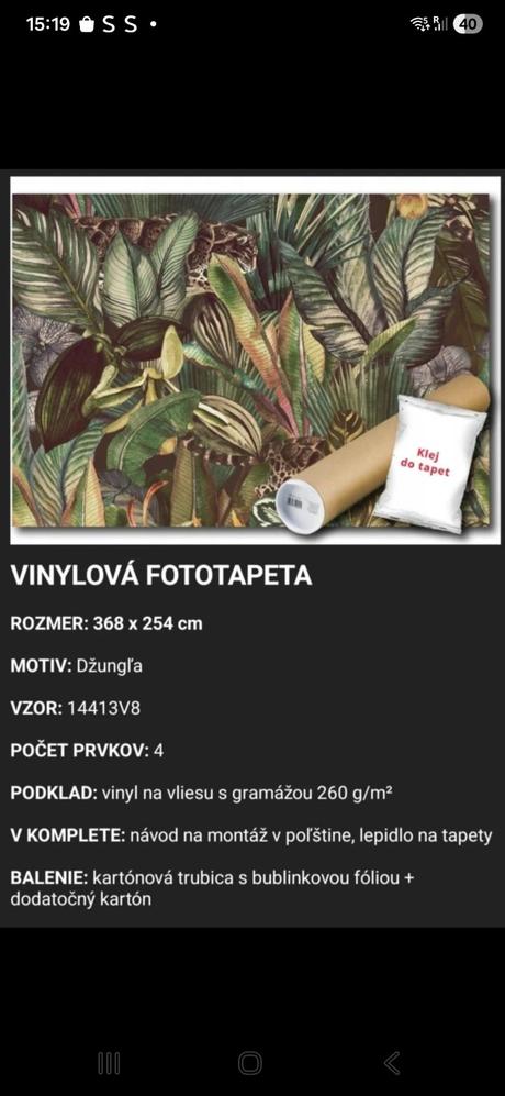 Fototapeta džungla, 