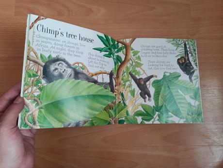 Animal homes - lift the flap, 