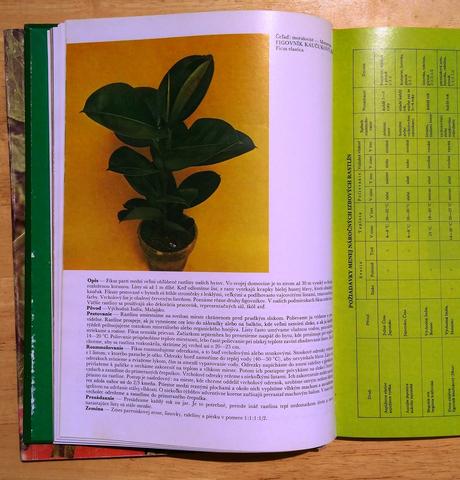 Kvety moja záľuba , m. martišová, 