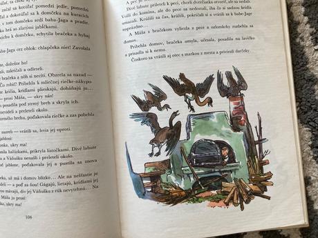 Div a zázrak (1981), 