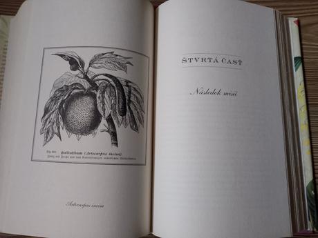 Elizabeth gilbert - podstata všetkých vecí, 