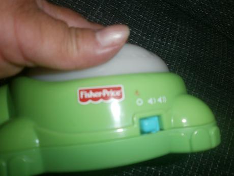 Svietacia korytnacka,