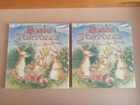 Margaret wild rosie and tortoise hb,
