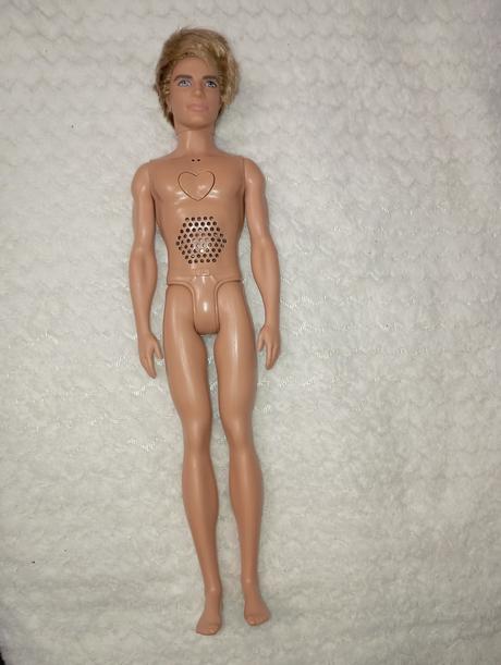 Barbie ken chlapci 2,