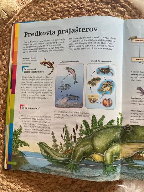 Dinosaury vedomosti v hrsti,