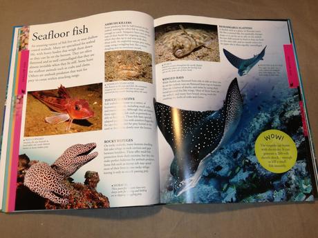 Dk ocean a children's encyclopedia nau22, 