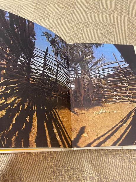 Krásna kniha o afrike safari pod kilimandžárom,