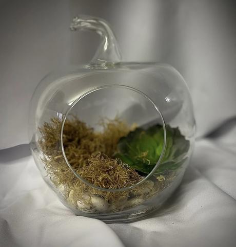 Sklenené terárium v tvare jablka, 