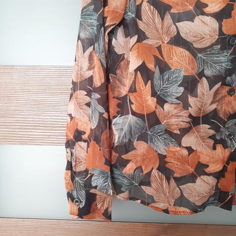 Priehľadná blúzka, m