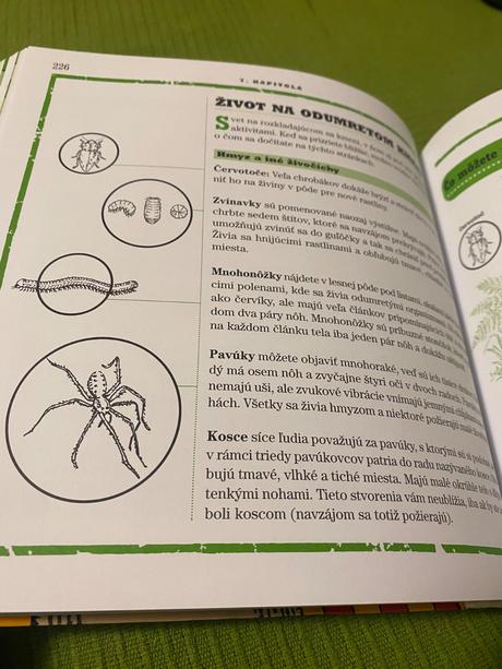 Ako táboriť lynn brunelle skauti tábor, 