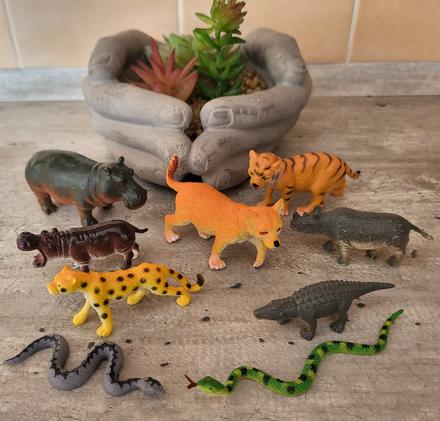 Safari - menšia a stredná veľkosť, 