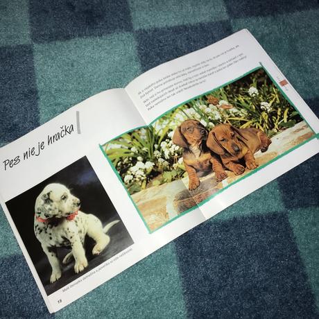 Brožúrka šteniatka,