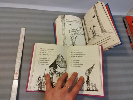 Matt haig - the truth pixie su23, 