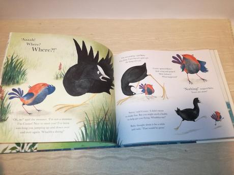 Andrew gibbs baby bird nau20, 