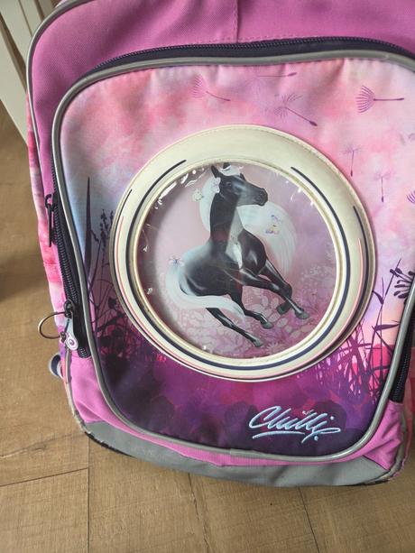 Batoh topgal s konikom vymeniteľné obrázky, 