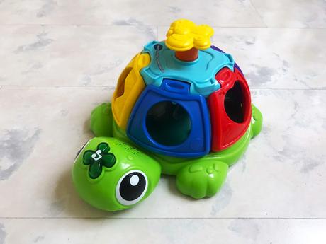 Spievajúca korytnačka, 