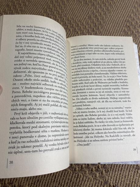 Zátišie s omrvinkami anna quindlen,