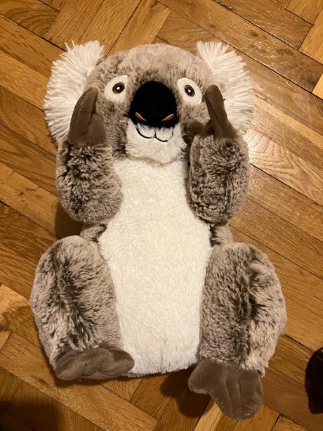 Koala, 