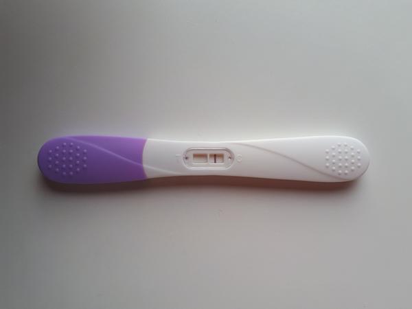 Myslíte, že sa nám zadarilo?