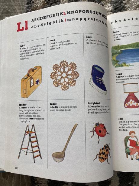 Children's first dictionary (1990), 