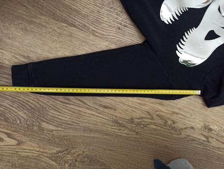 Mikina dinosaurus, h&m,122