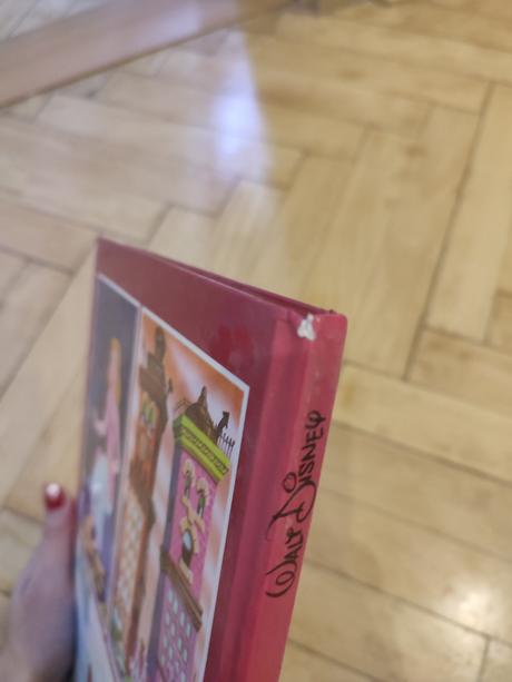 Walt disney bordová,